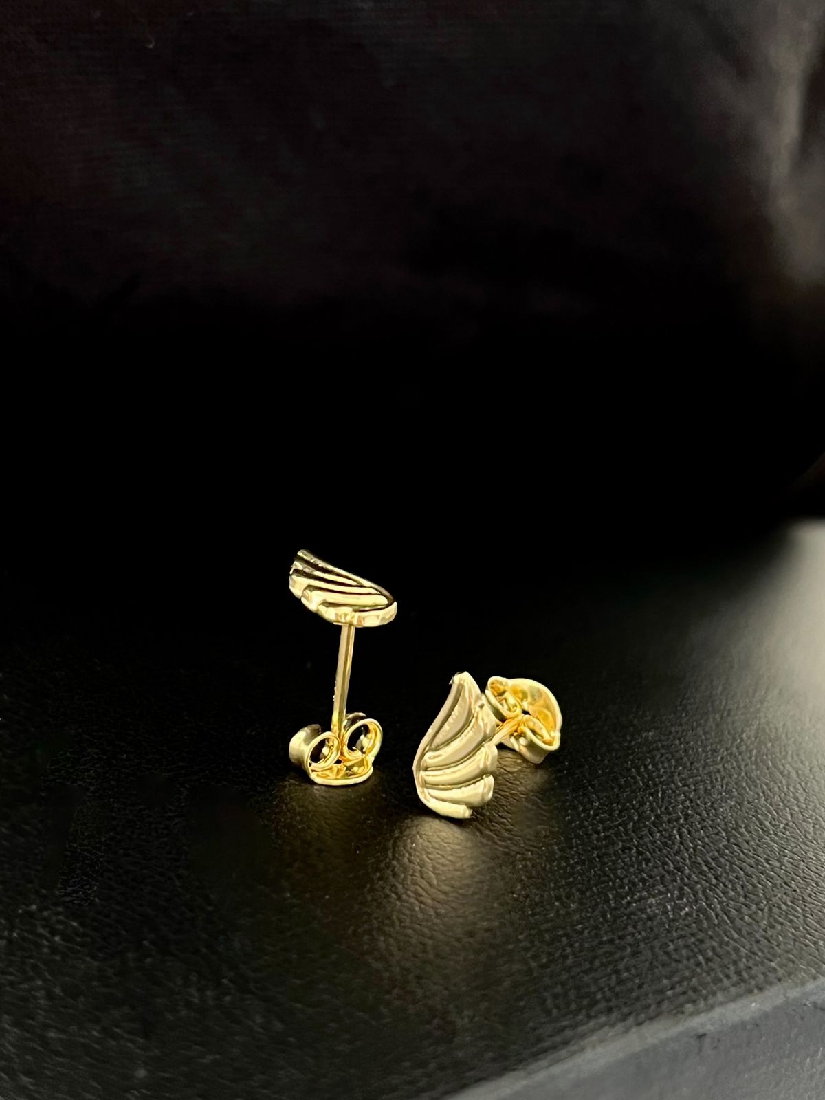 Aretes Alitas