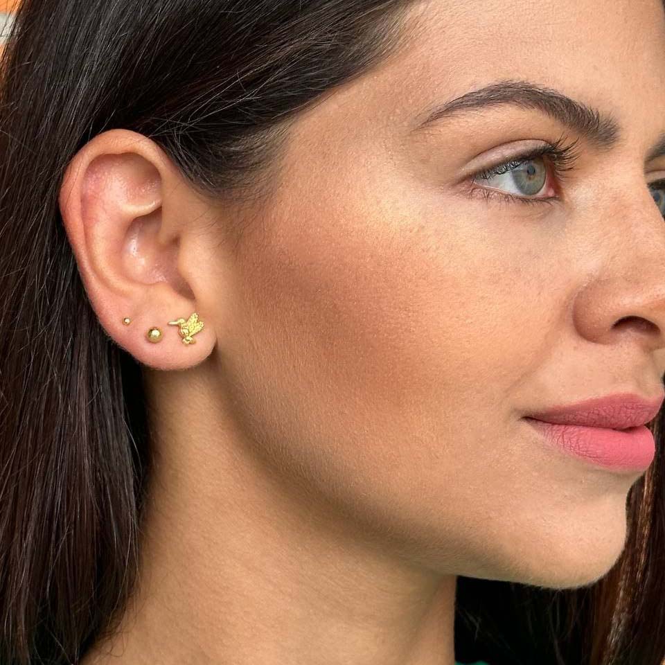 Aretes Colibrí