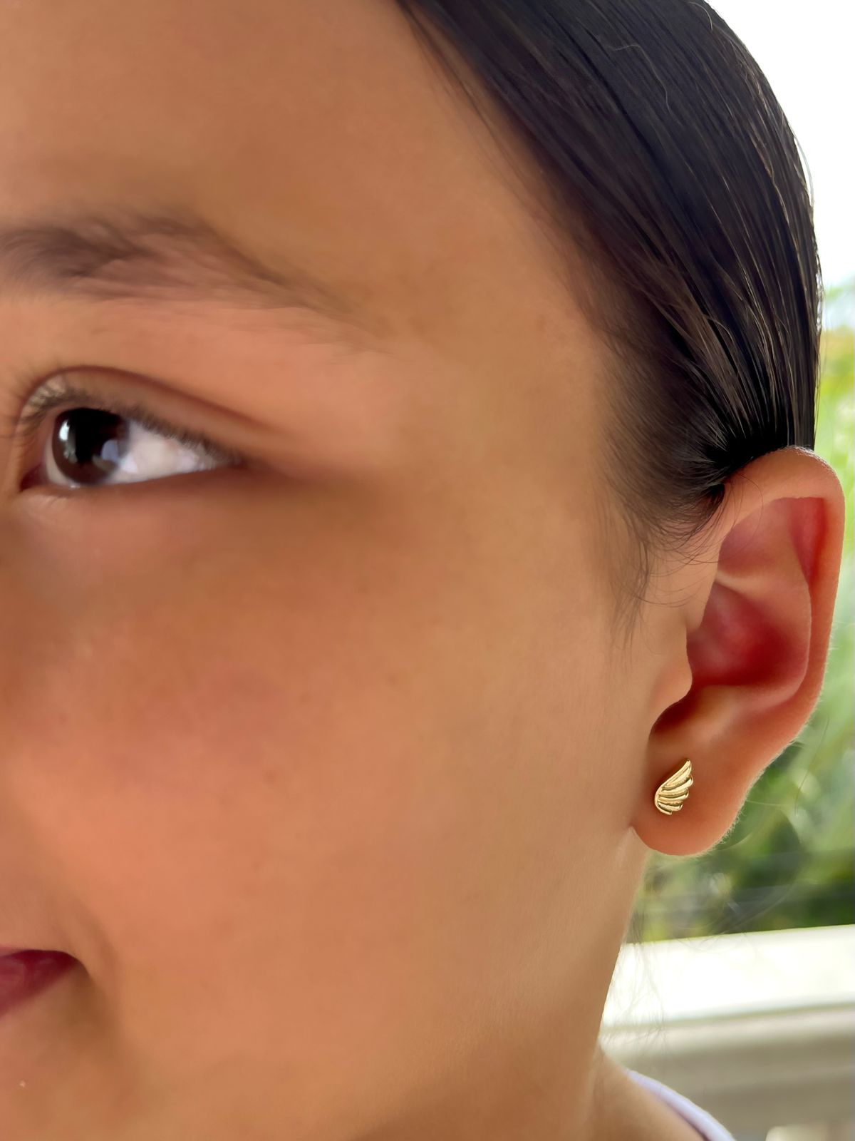 Aretes Alitas